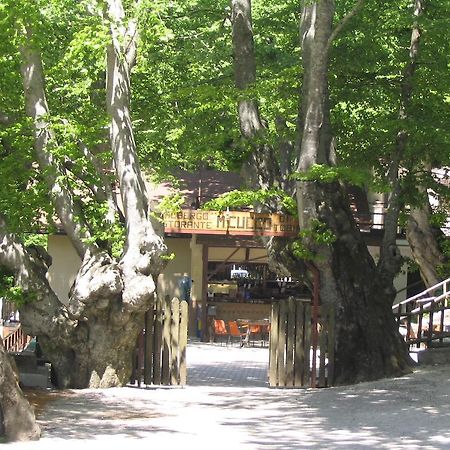Albergo Ristorante Montecucco Da Tobia 시길로 외부 사진