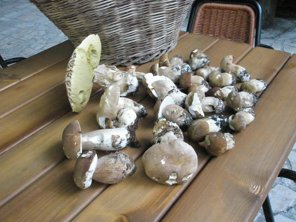 Albergo Ristorante Montecucco Da Tobia 시길로 외부 사진