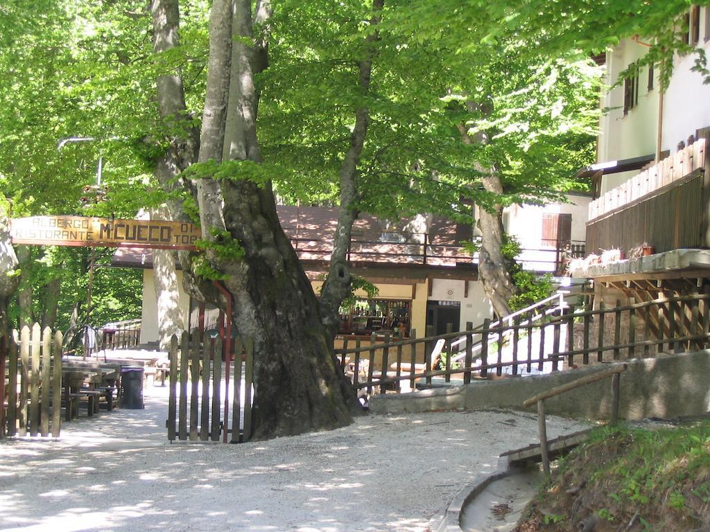 Albergo Ristorante Montecucco Da Tobia 시길로 외부 사진