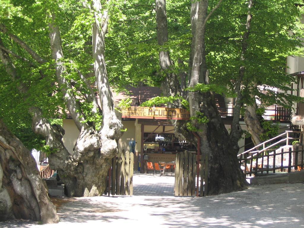 Albergo Ristorante Montecucco Da Tobia 시길로 외부 사진